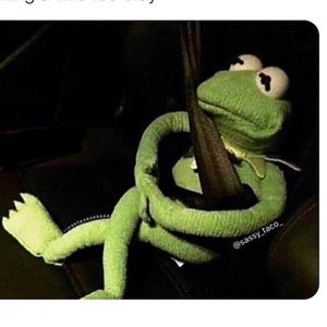 Meet your Posher, Brandy